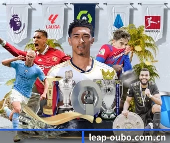 leap-oubo.com.cn APP